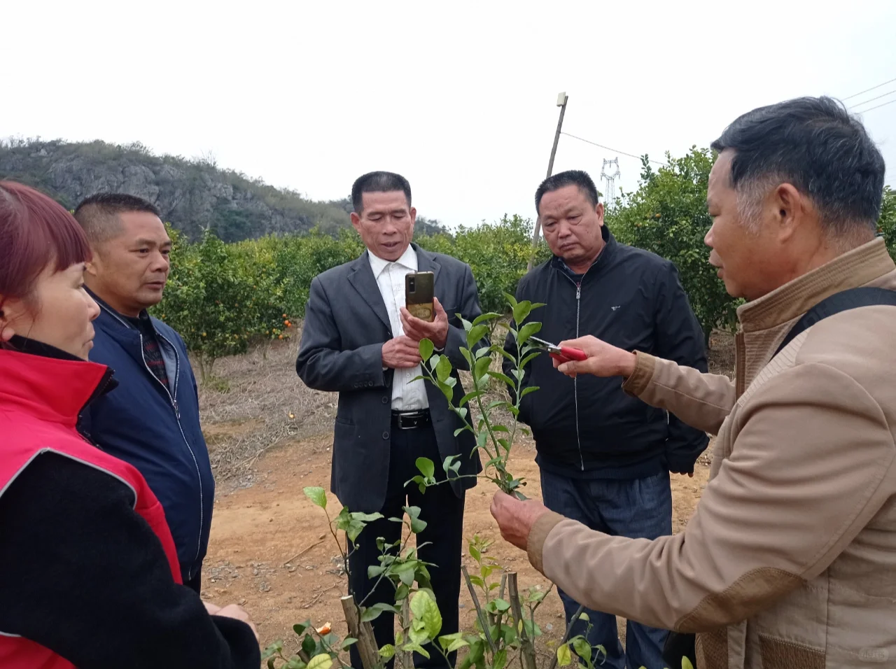 田间课堂-交流经验，精进技术