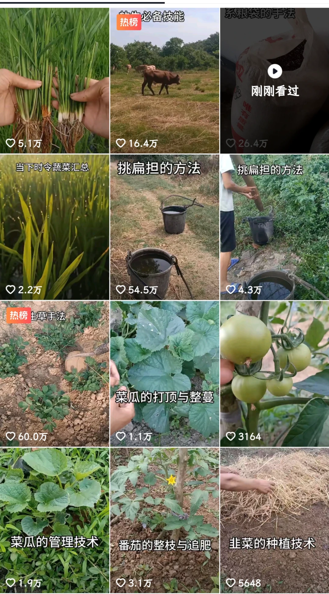 自媒体账号初学务农者