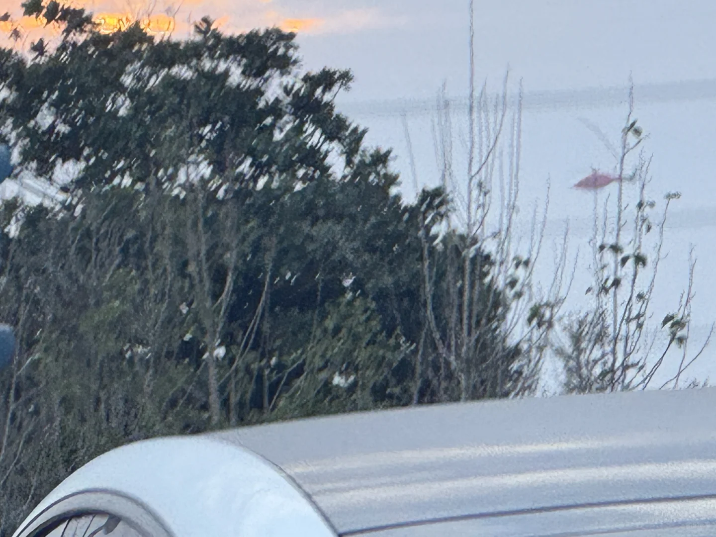 看到小小的卜 支援回上海啦