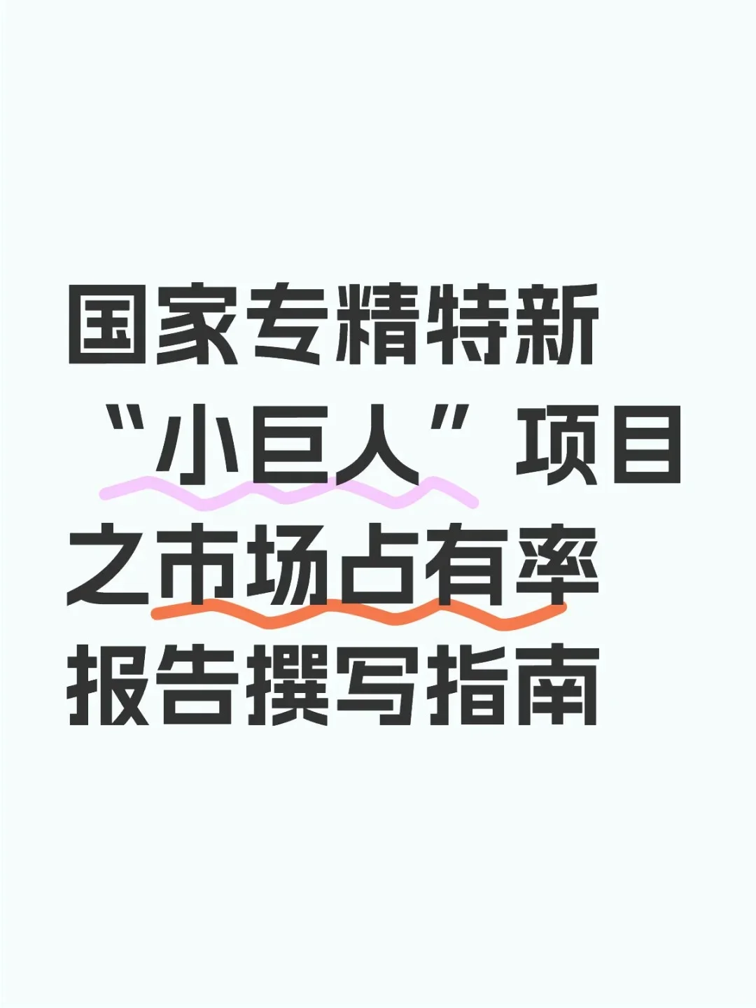 国家专精特新“小巨人”项目之市场占有率