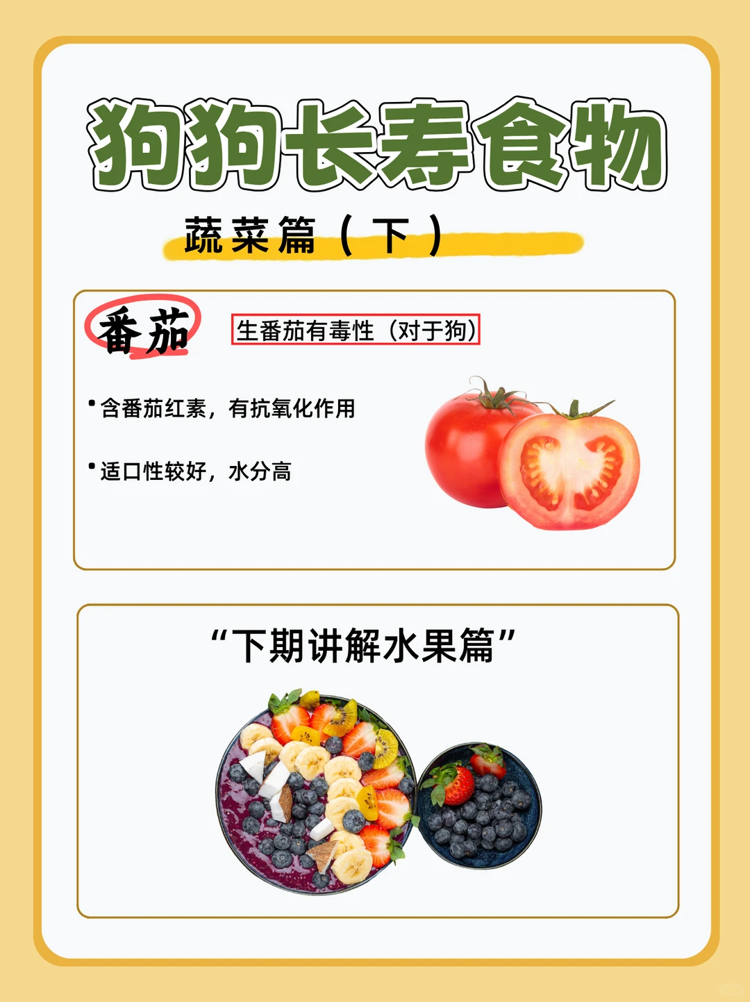 宠物健康|狗狗长寿食物|长寿蔬菜（下）