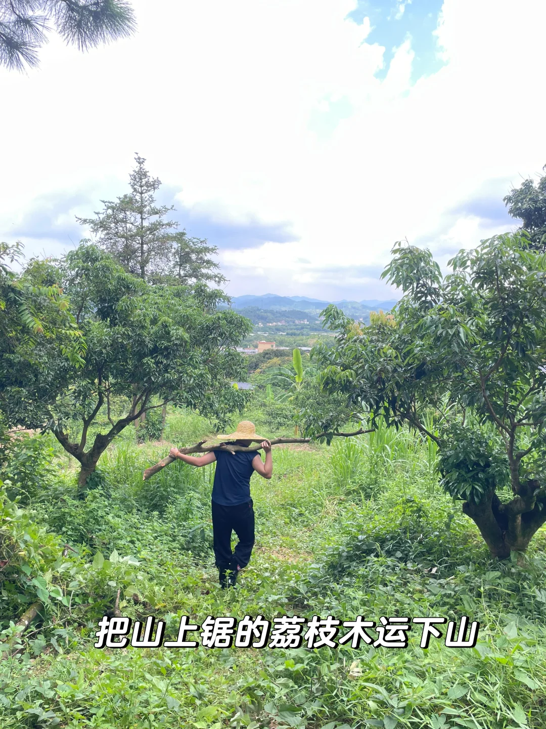 女人真的不能搞农场！