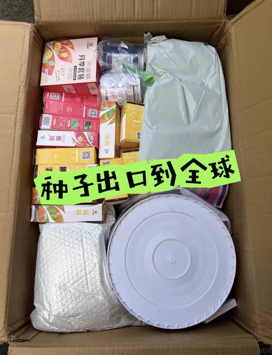 立陶宛国际快递物流