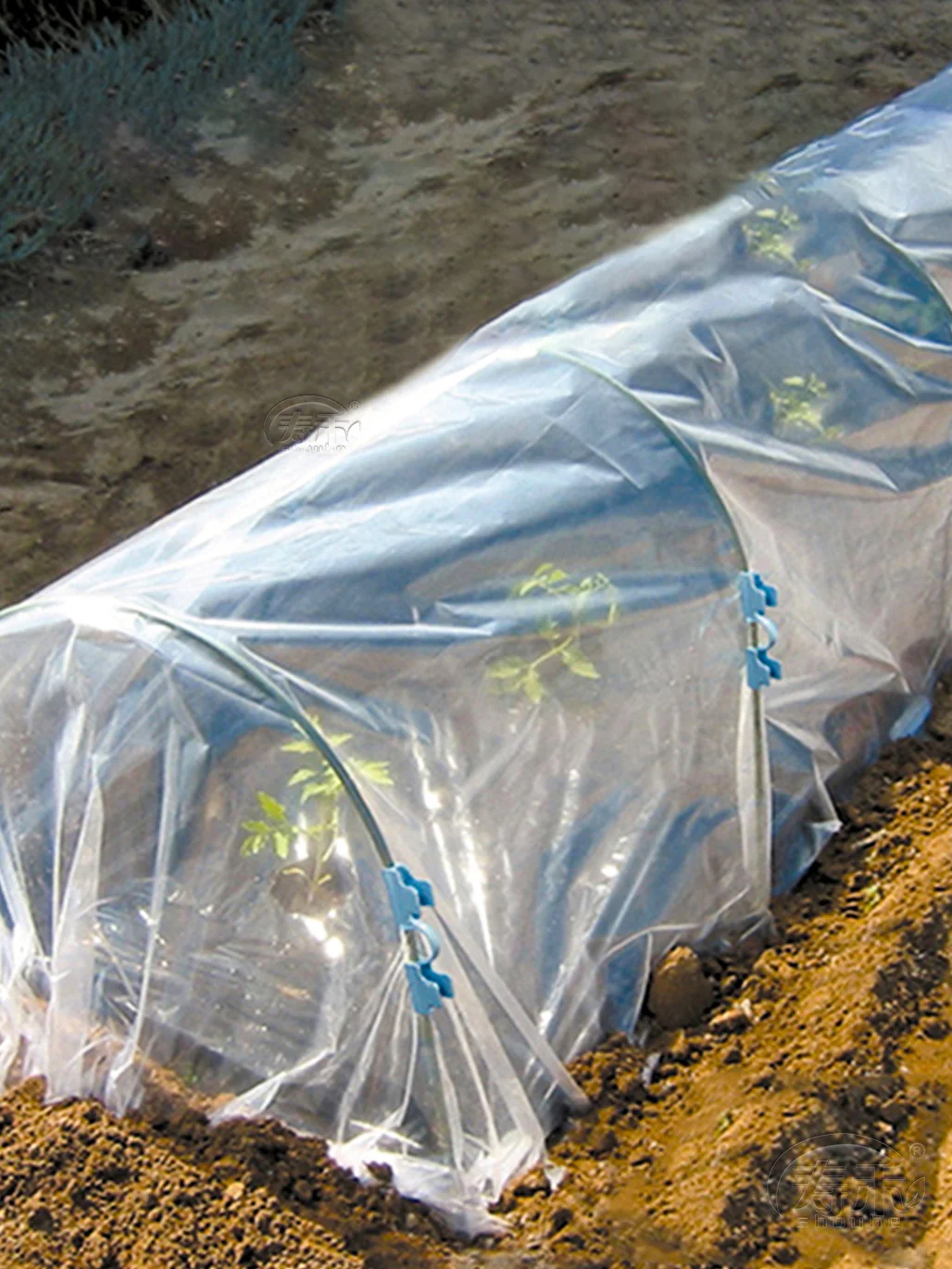 立冬过后做好这三件事，种菜丰产收获不断！