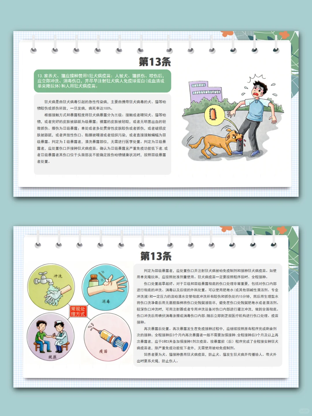 2024版中国公民健康素养66条