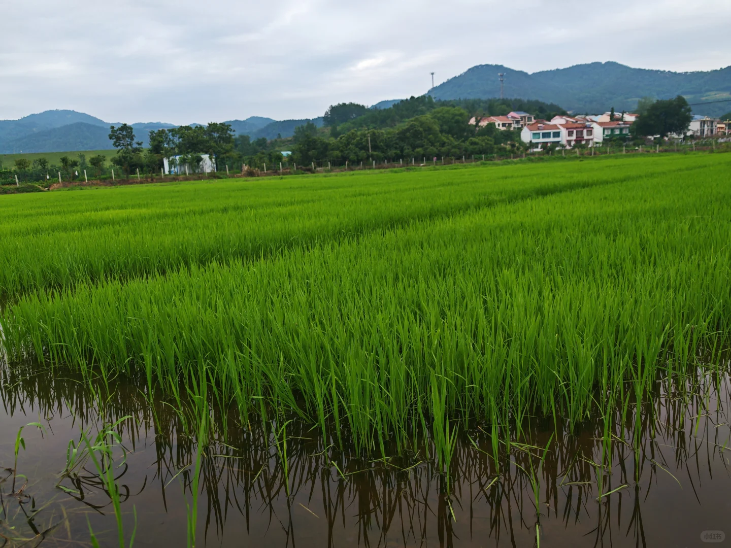 乡村工作第九年