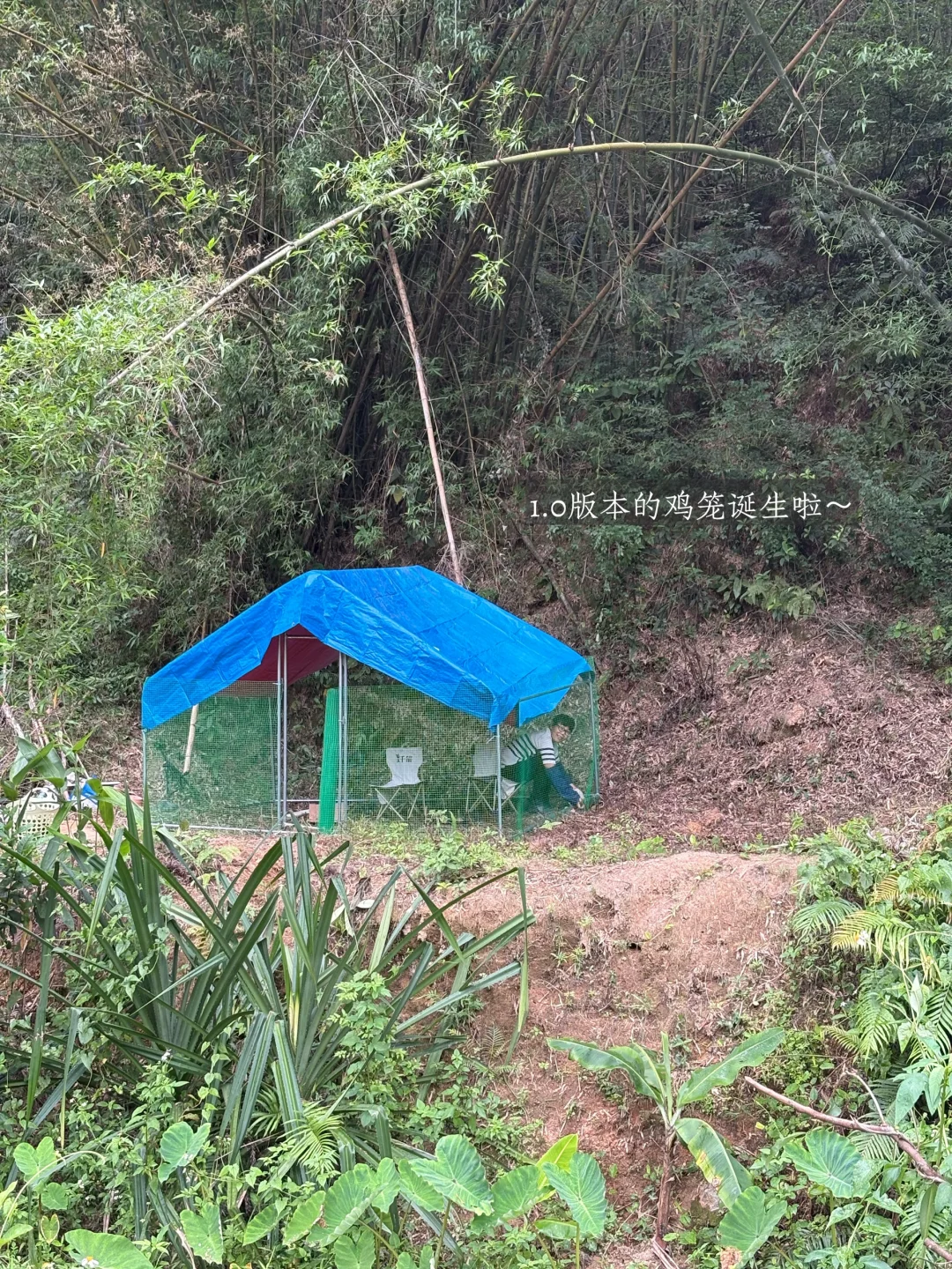 28岁在农村成为一名农场主是怎么样的体验?