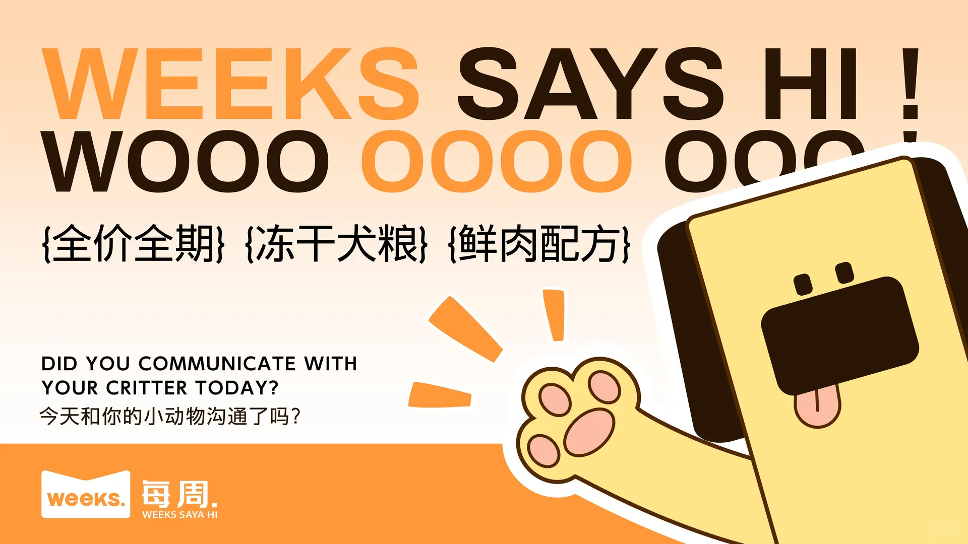 宠物品牌设计提案/每周.狗狗食品店?