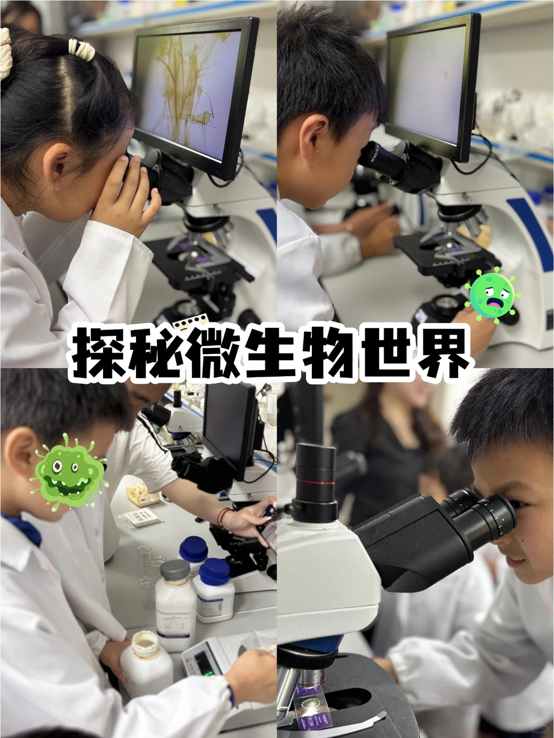 超全❗中科院周末半日全日2026寒假研学合集