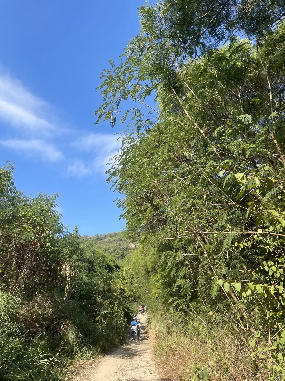 ?挺开心的 我的第1️⃣次跑山