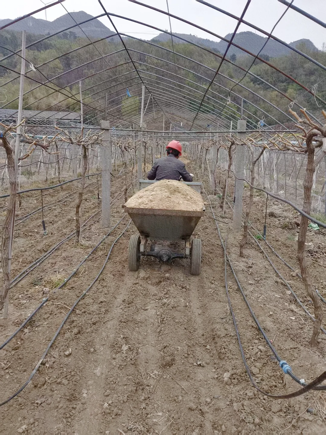 别被网红农场骗了真实的农场创业是这样的