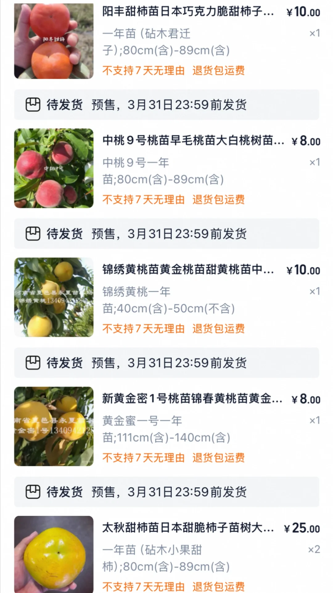 又补了一波树苗