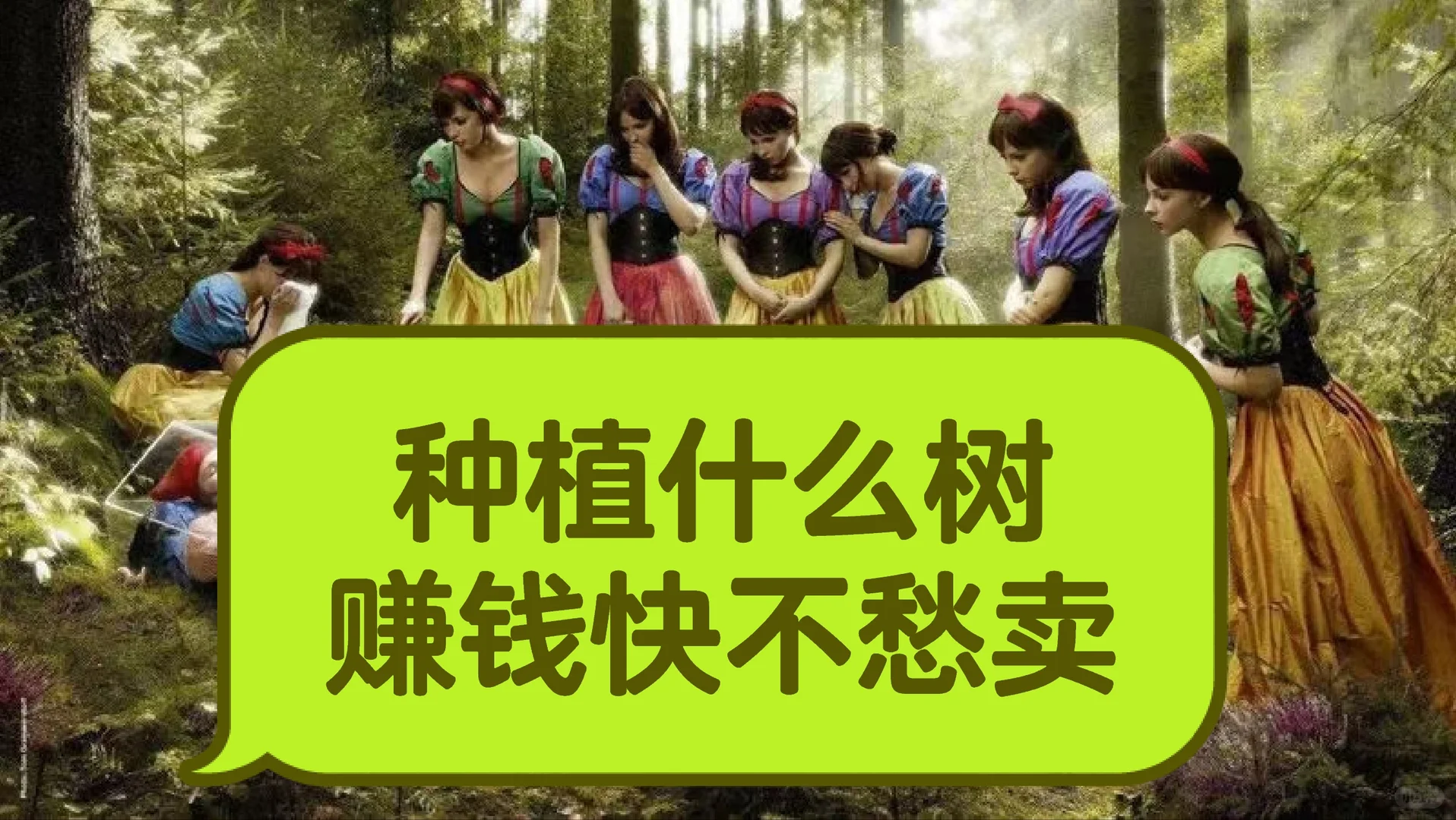 种植什么树赚钱快不愁卖？