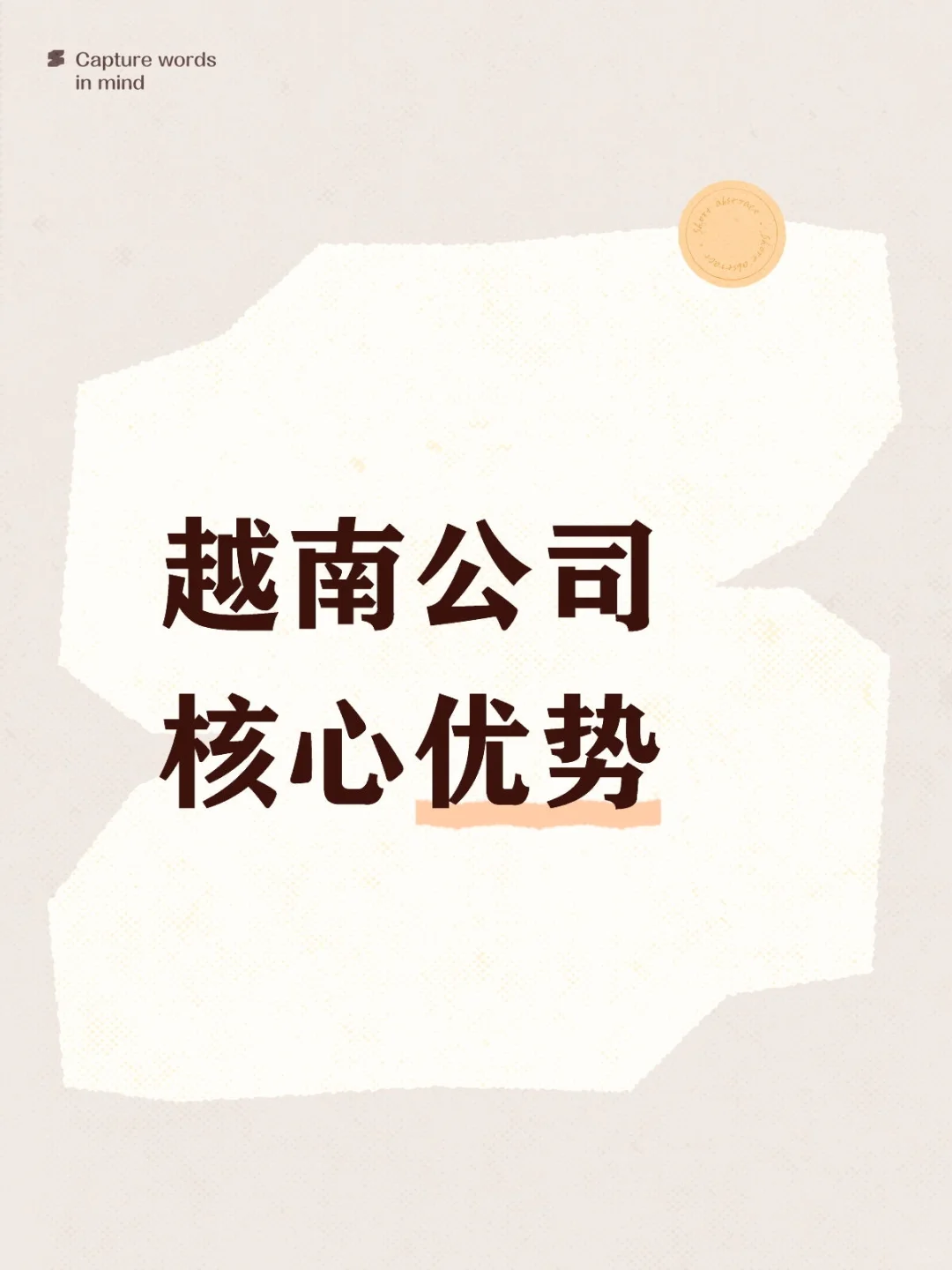 越南公司核心优势