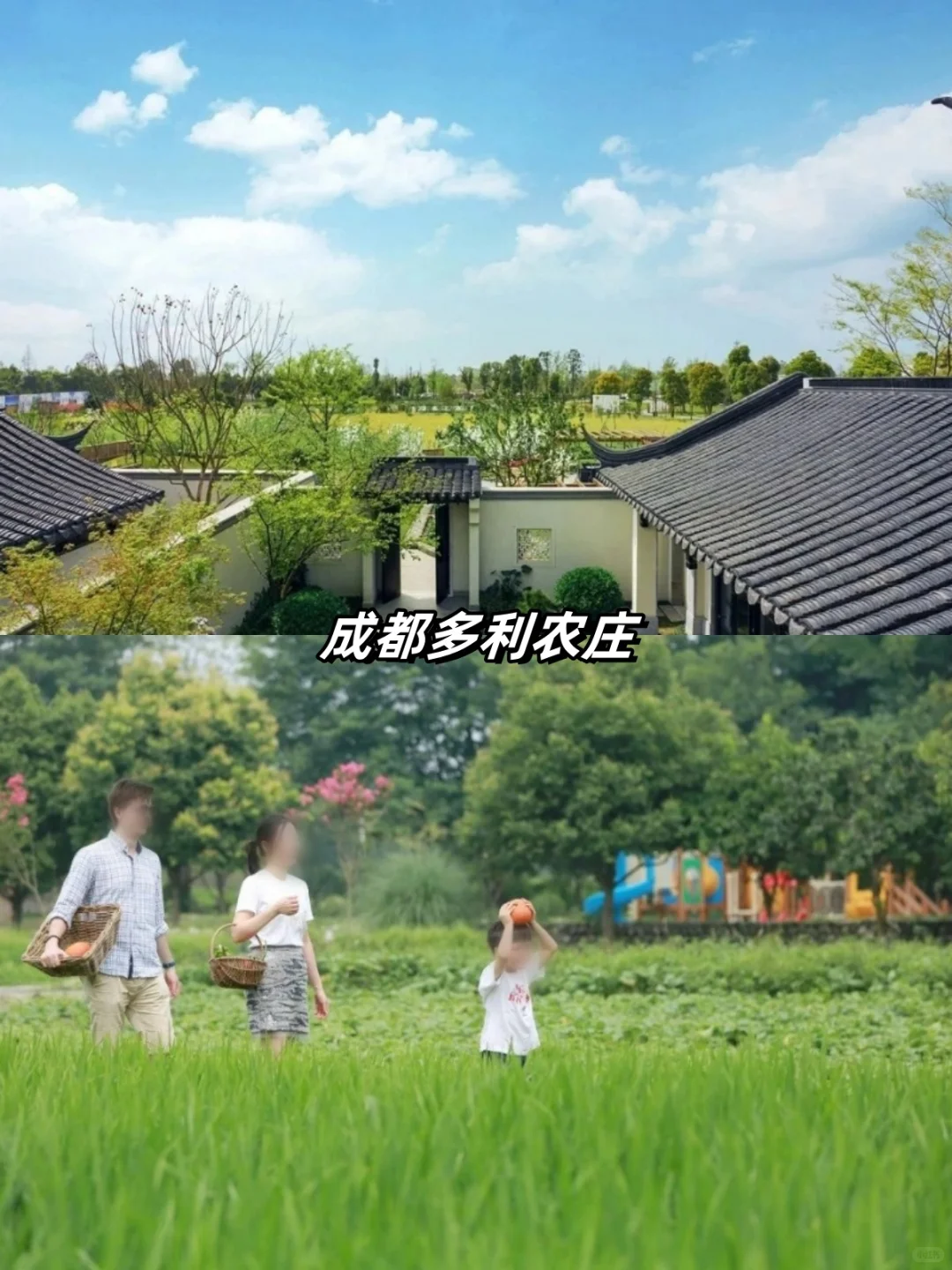 农文旅融合7种成功模式