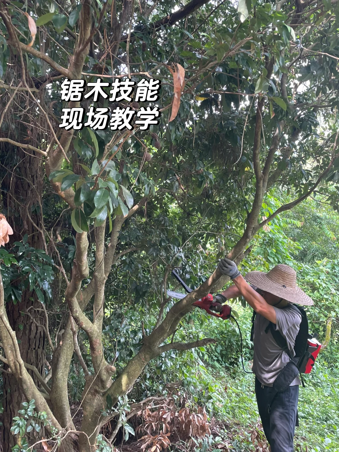 女人真的不能搞农场！