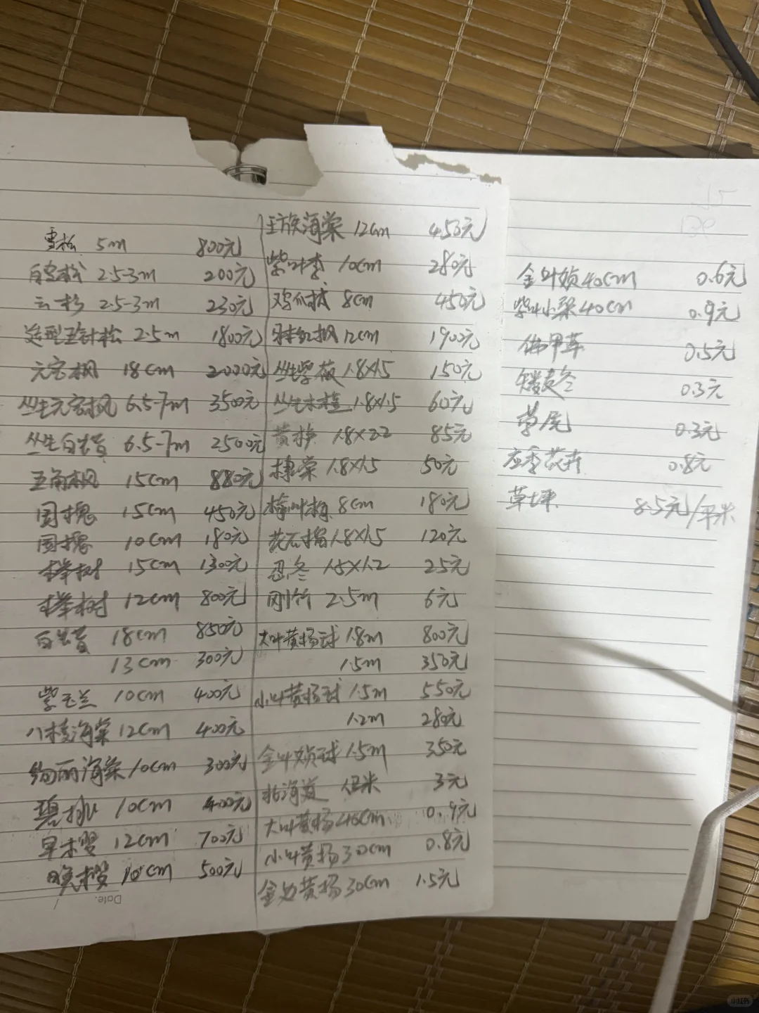 园林绿化，河北苗圃基地欢迎您