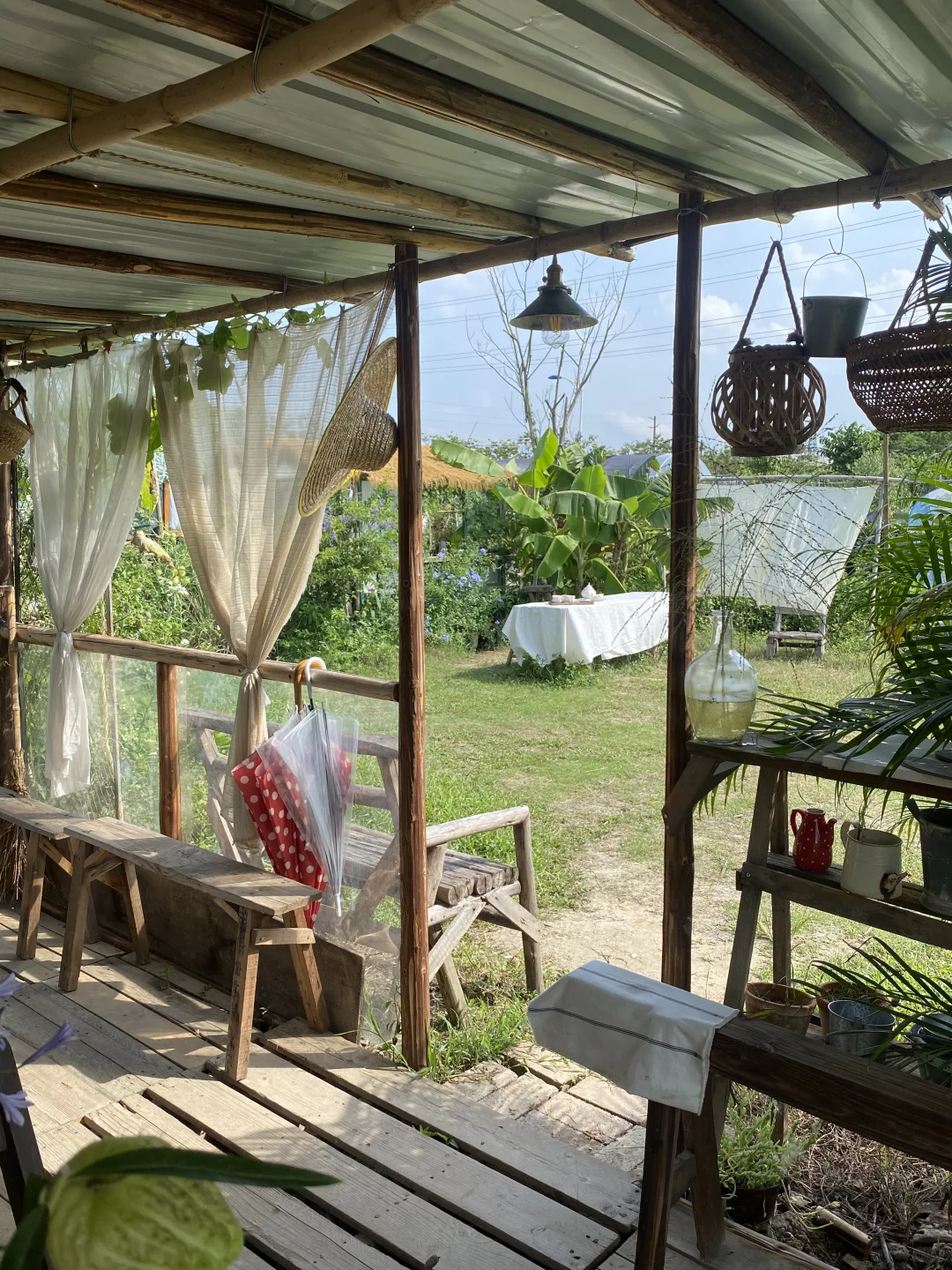 29岁，在广州拥有一个小而美的农场??‍?