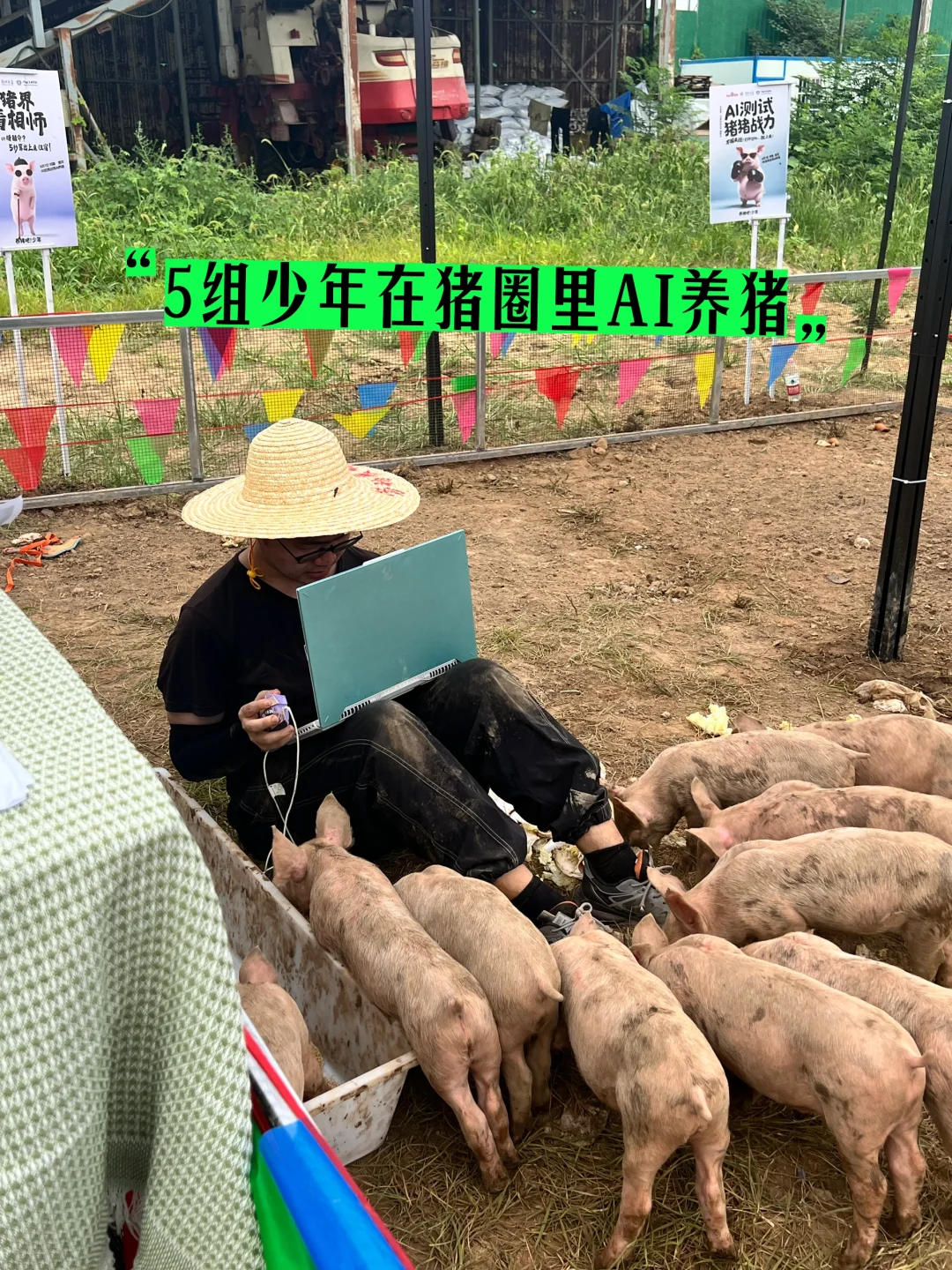 在猪圈里大学生用AI养猪