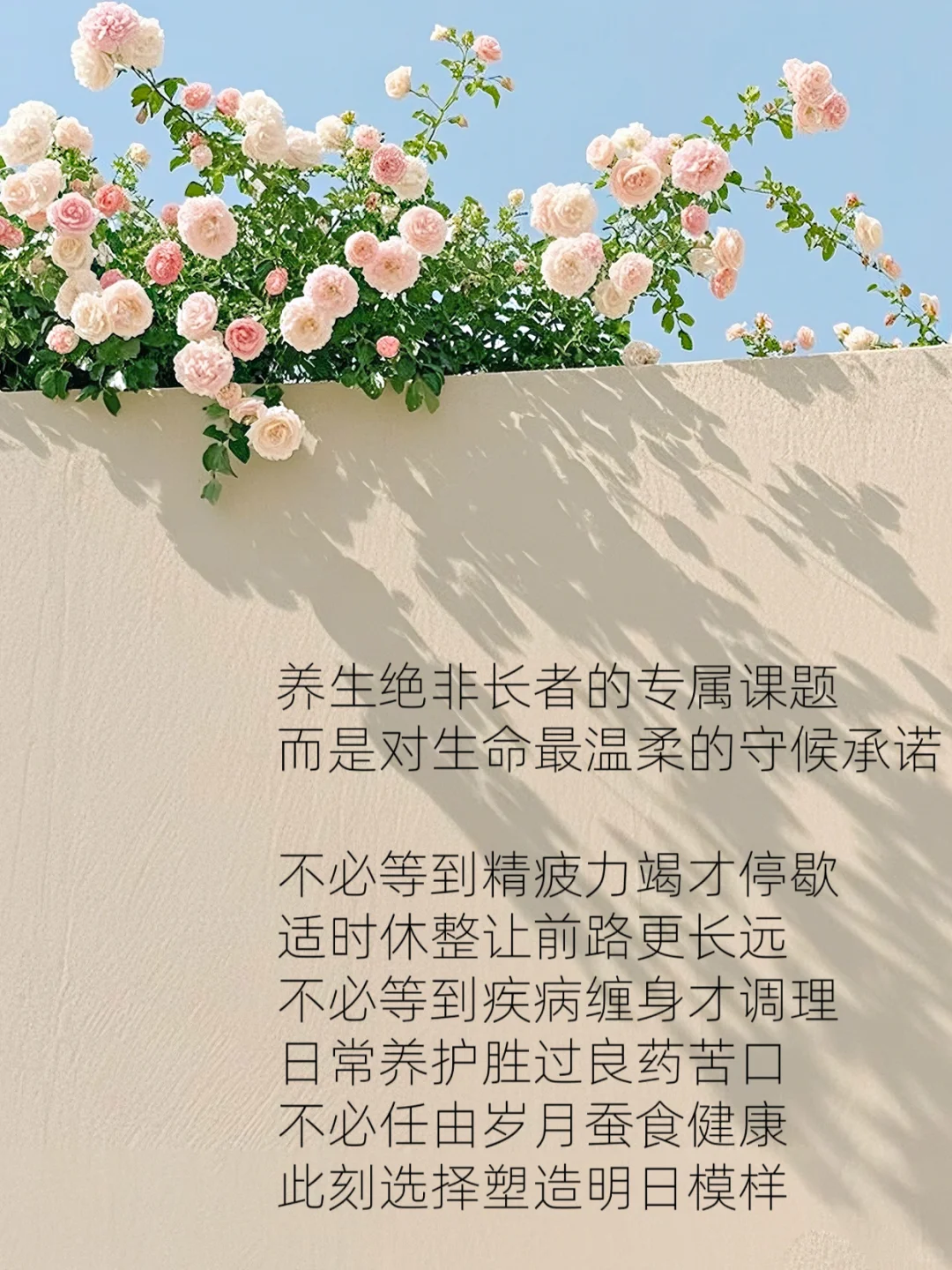 每日养生小知识?慢养人生