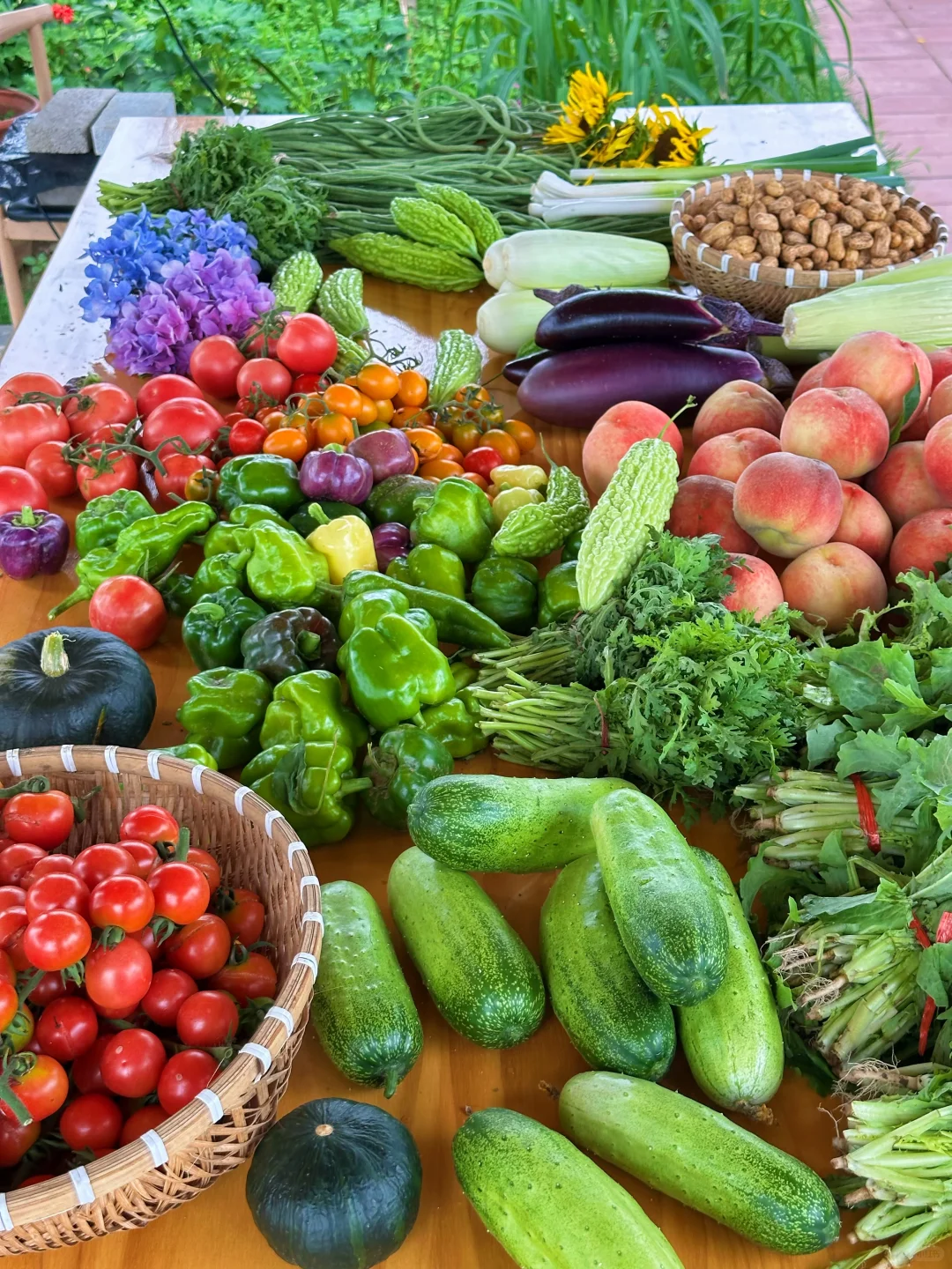 农场生活｜一不小心实现了蔬菜自由！