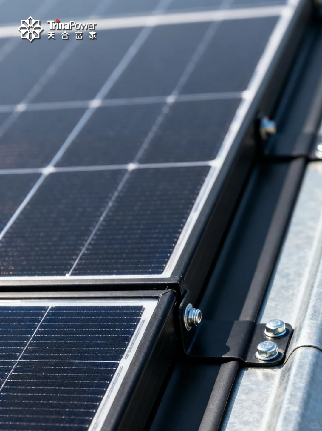 「光伏 + 养殖」解锁农业新玩法！