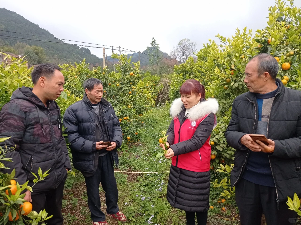 田间课堂-交流经验，精进技术