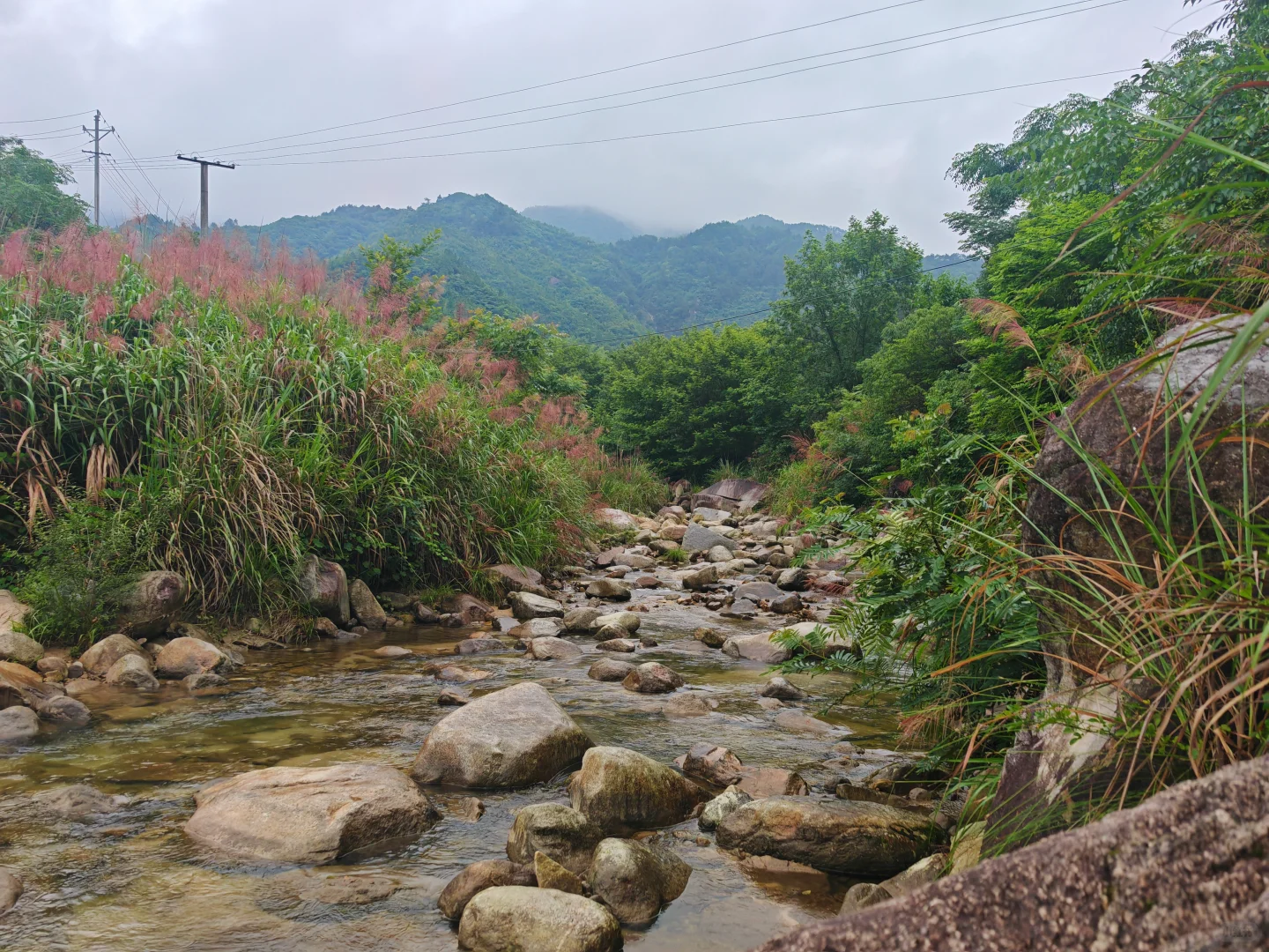 乡村工作第九年