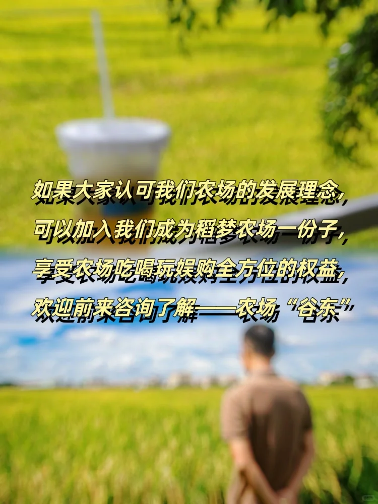 乡村振兴 | 大学生回乡创业做农业文旅