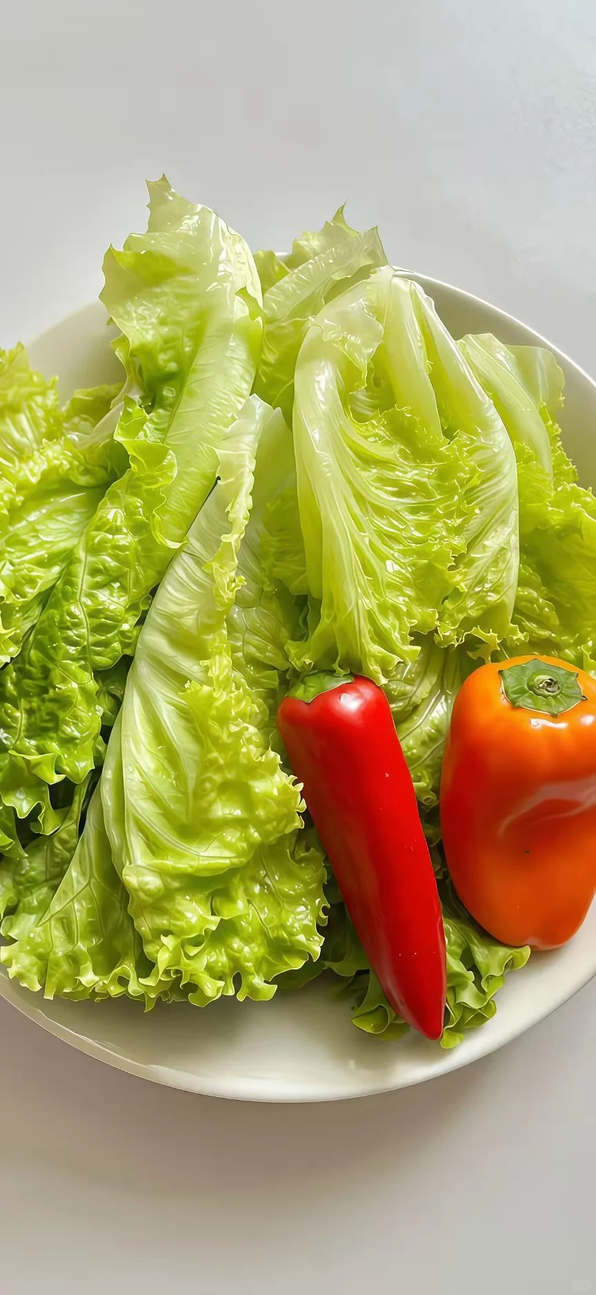治愈系蔬菜壁纸～
