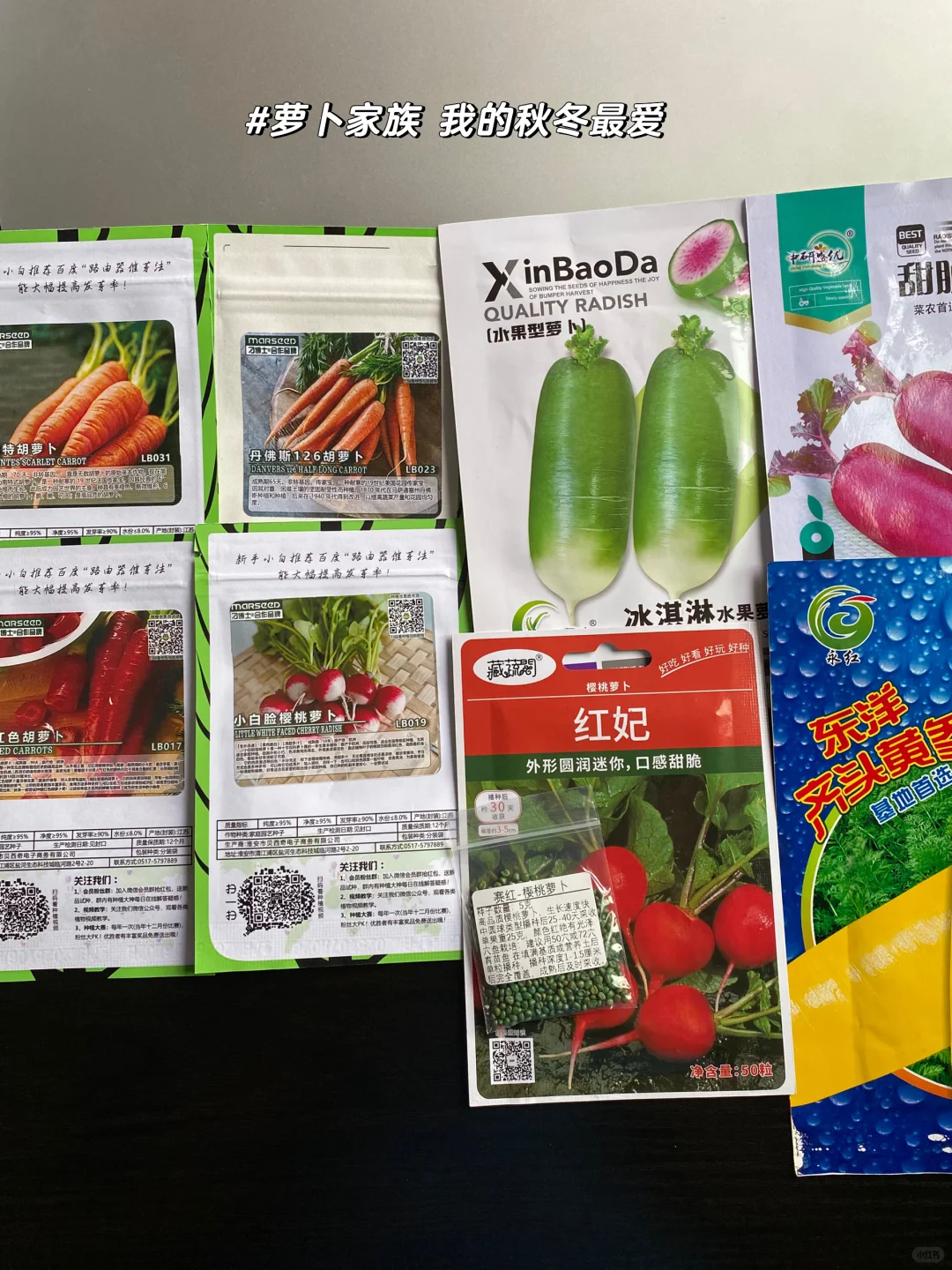秋播种植记｜报告 秋播的序幕已在8月拉开～?
