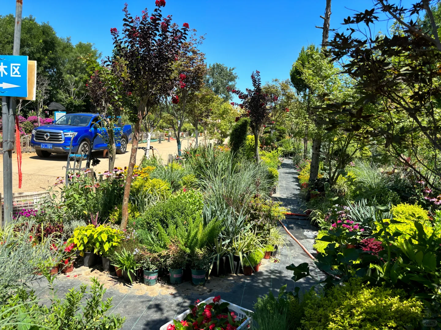 考察|藏在顺义的宝藏植物基地?