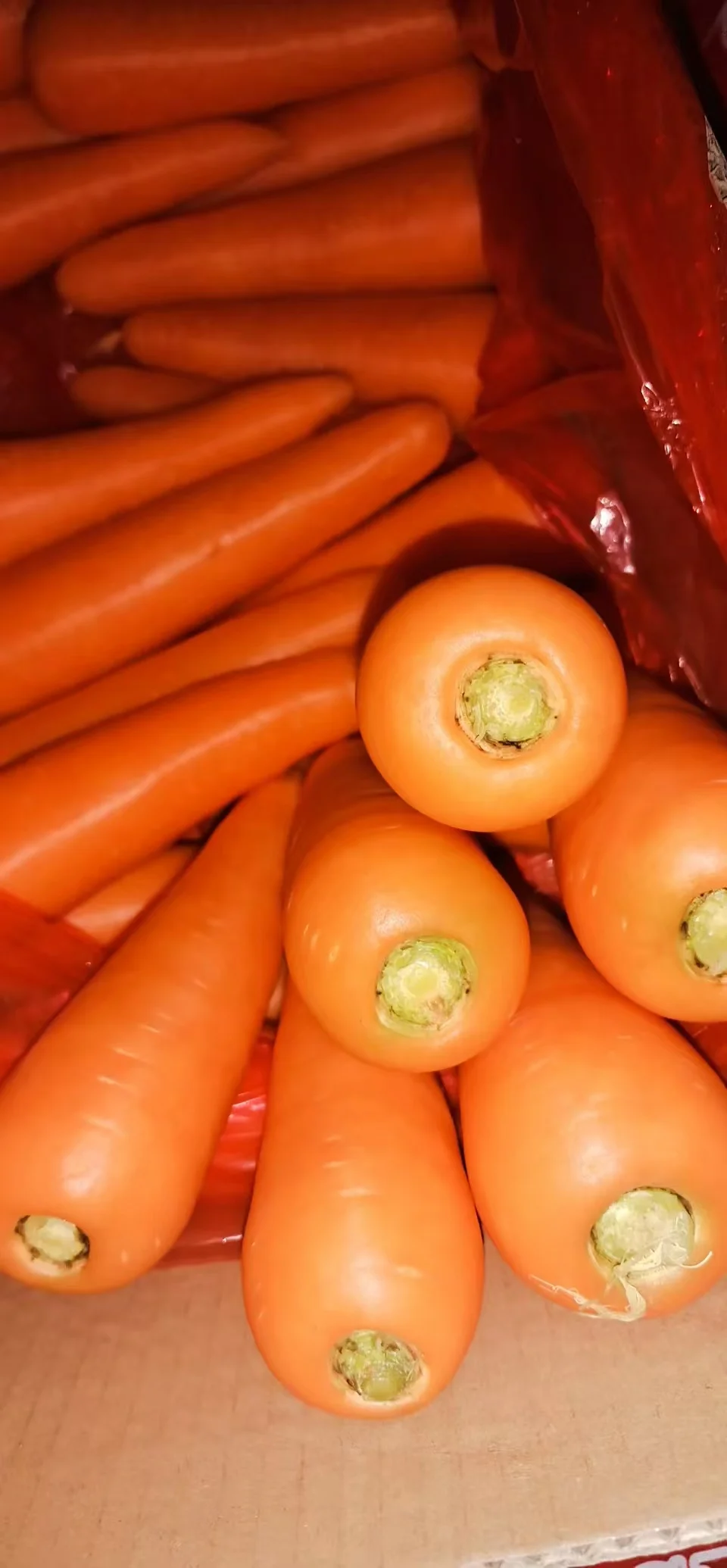 迪拜56吨胡萝卜开单！