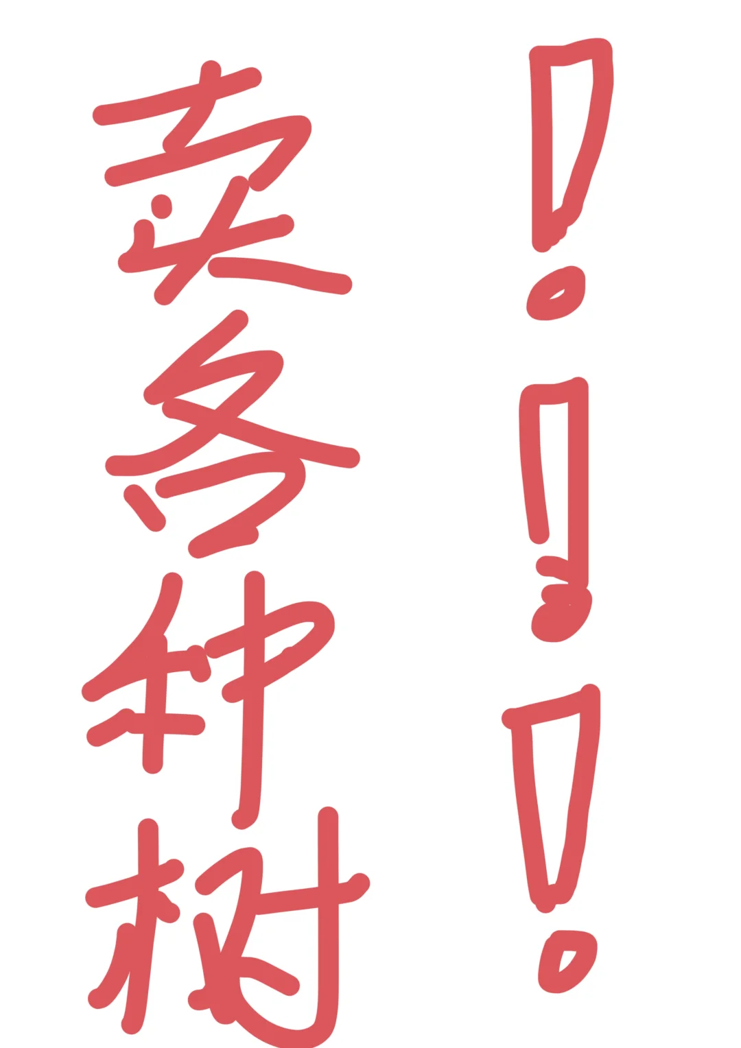 保定7000余亩大型苗木基地