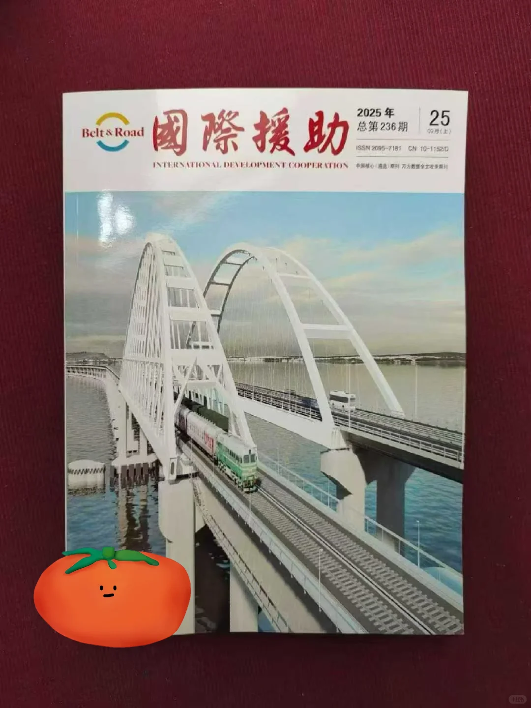 征稿《国际援助》论文投稿指南