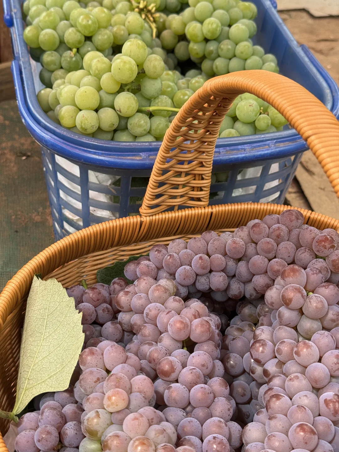 爷爷不会卖?只知道怎么种好葡萄10多块一箱