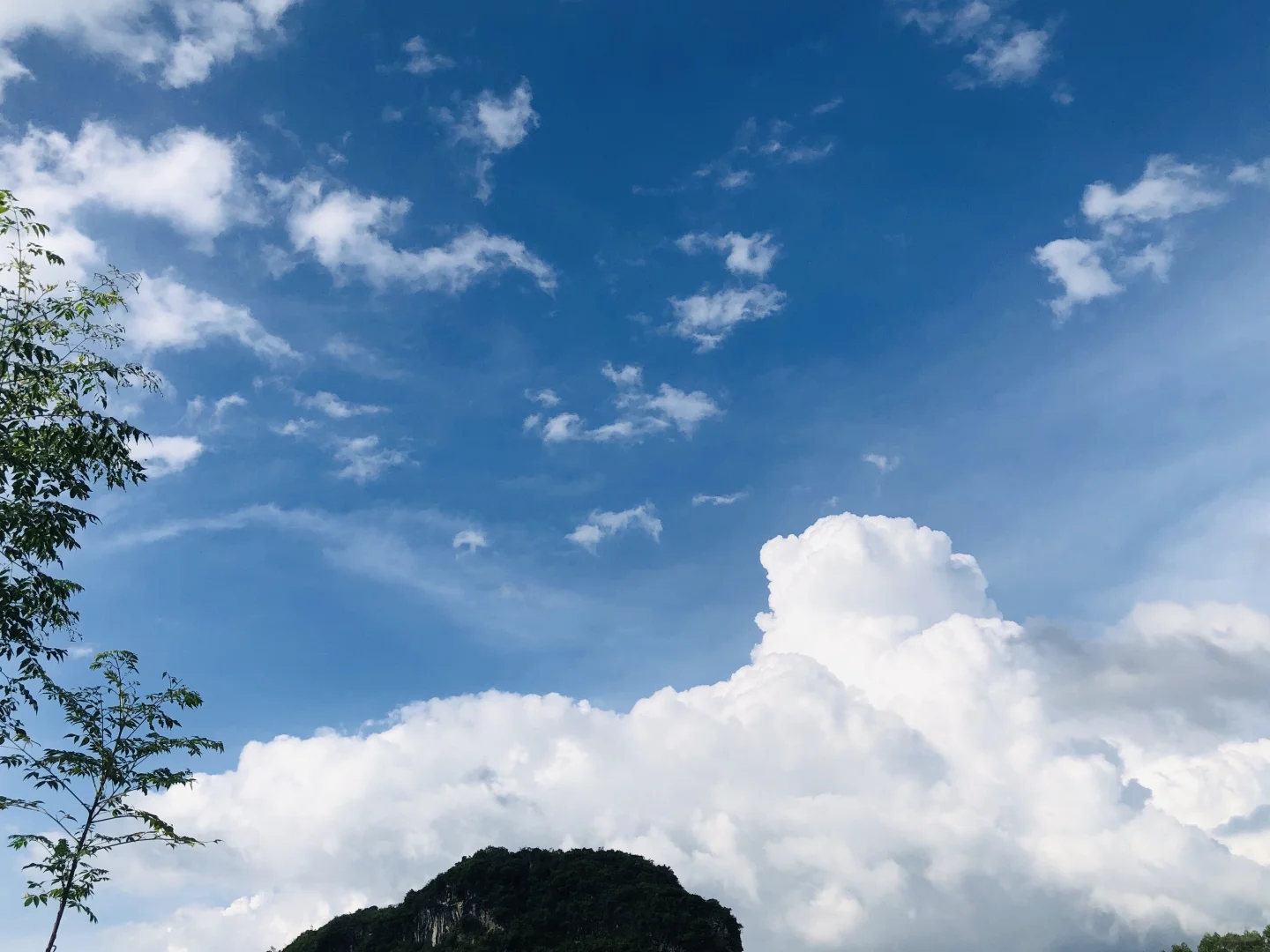 朋友预言成功，我爸爸发财了，种成功油茶树