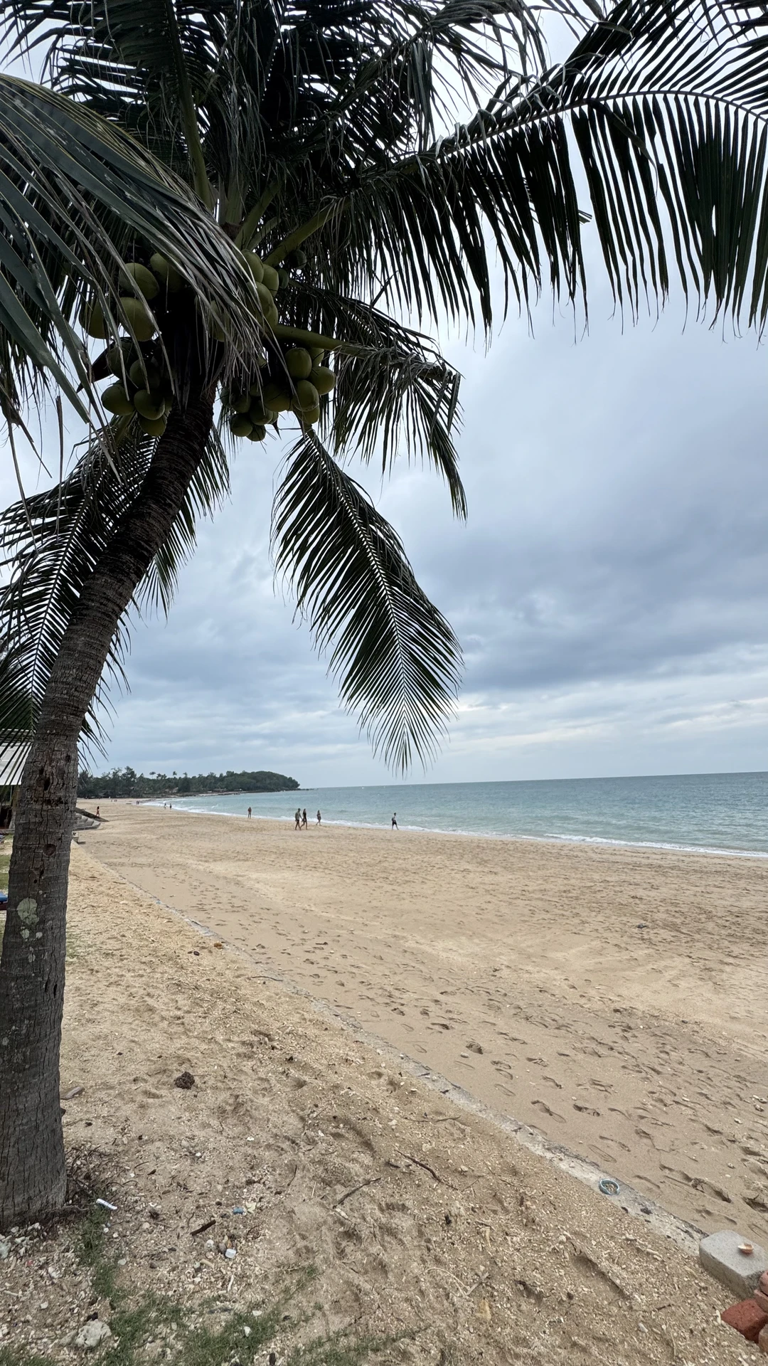 来了兰塔，求晴天的照片。