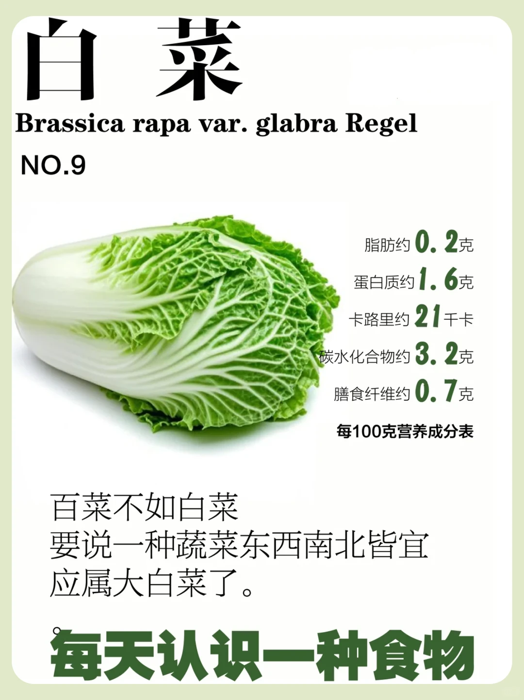 每天认识一种食物 | 百菜之王-白菜