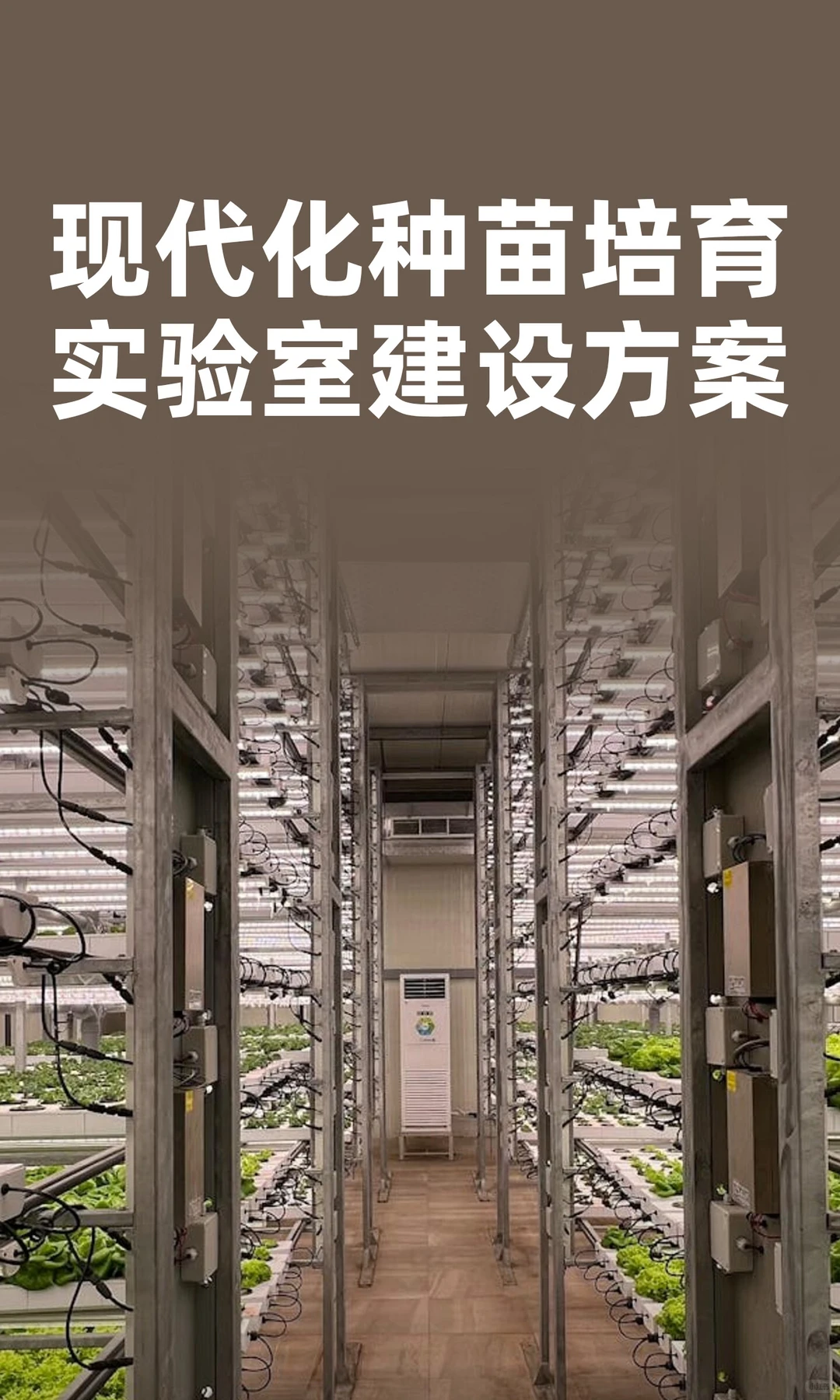 现代化种苗培育实验室建设方案