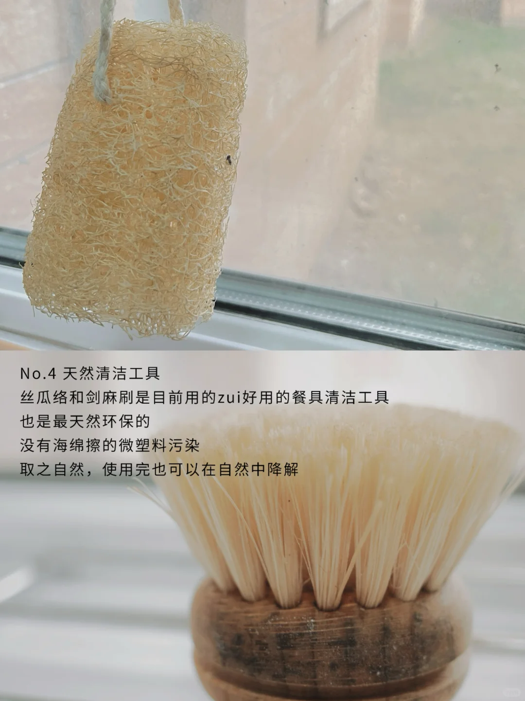 可持续生活｜低塑环保又不降质的生活小事