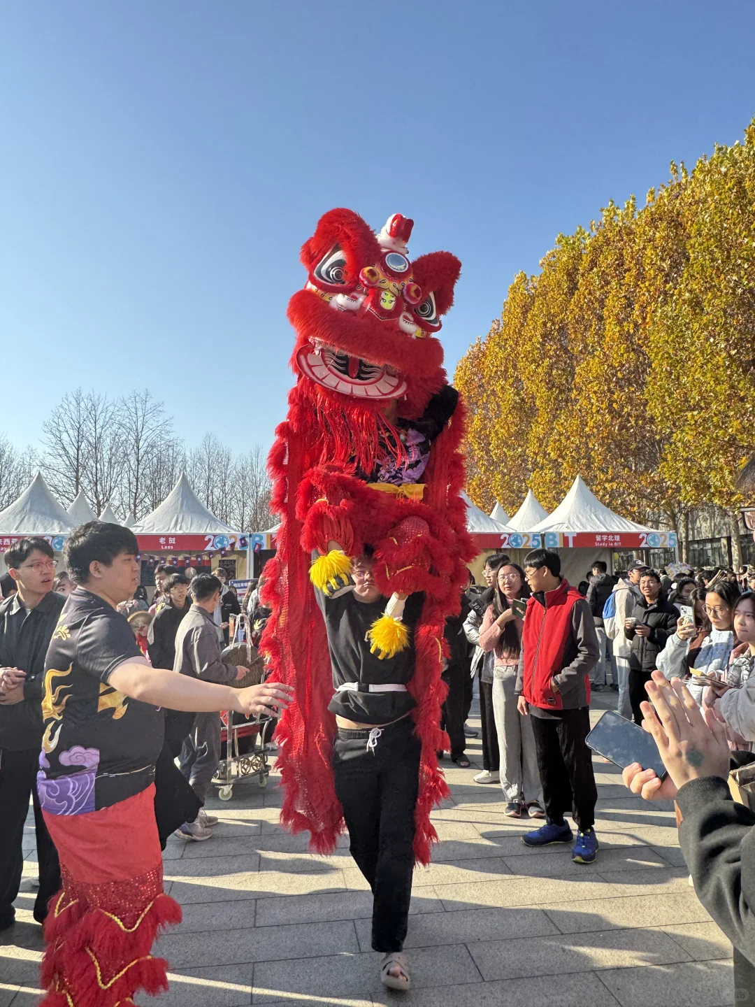 在北理的国际文化交流节疯狂集邮??