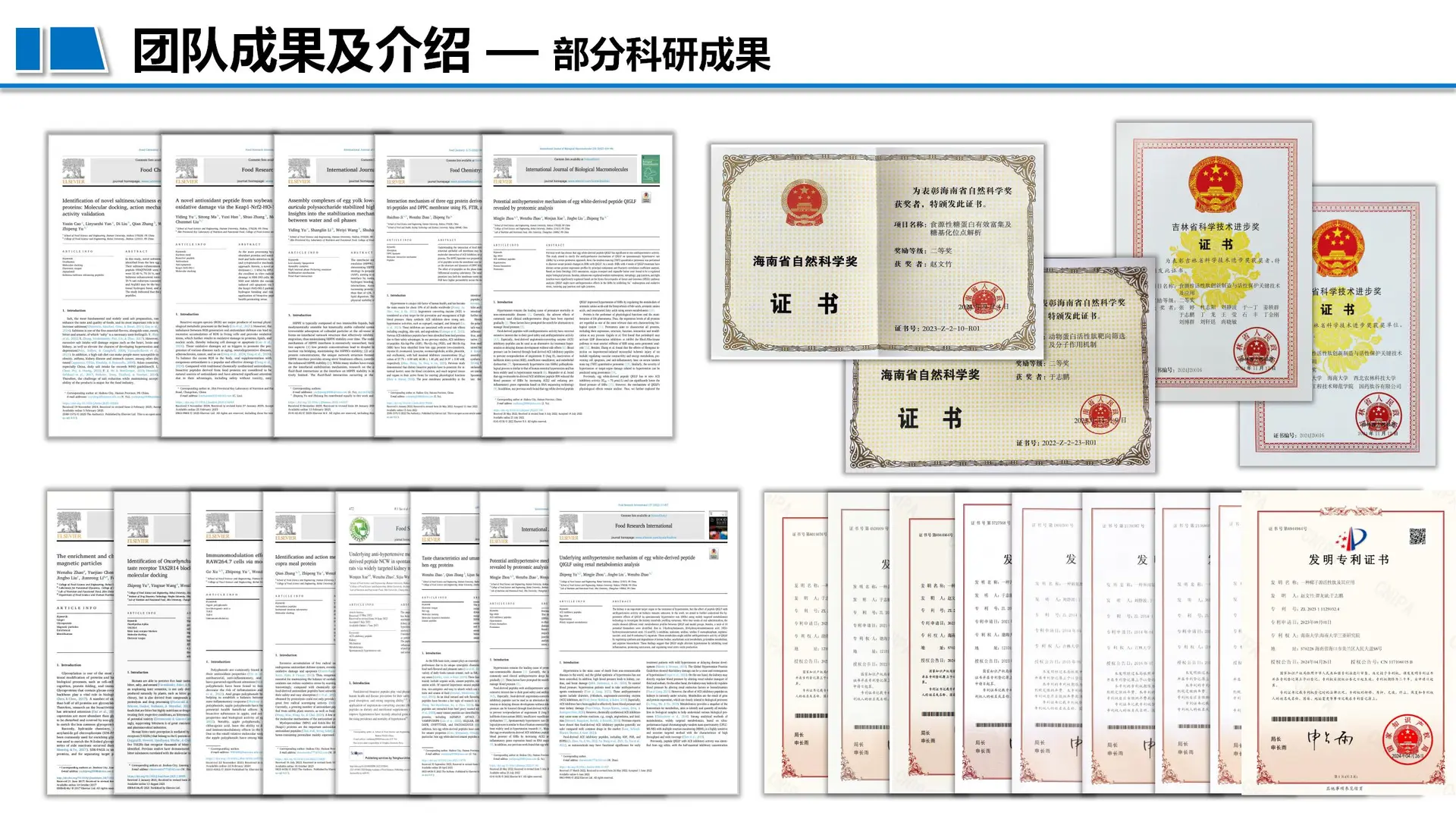 ?海南大学食品顶流博导招生！