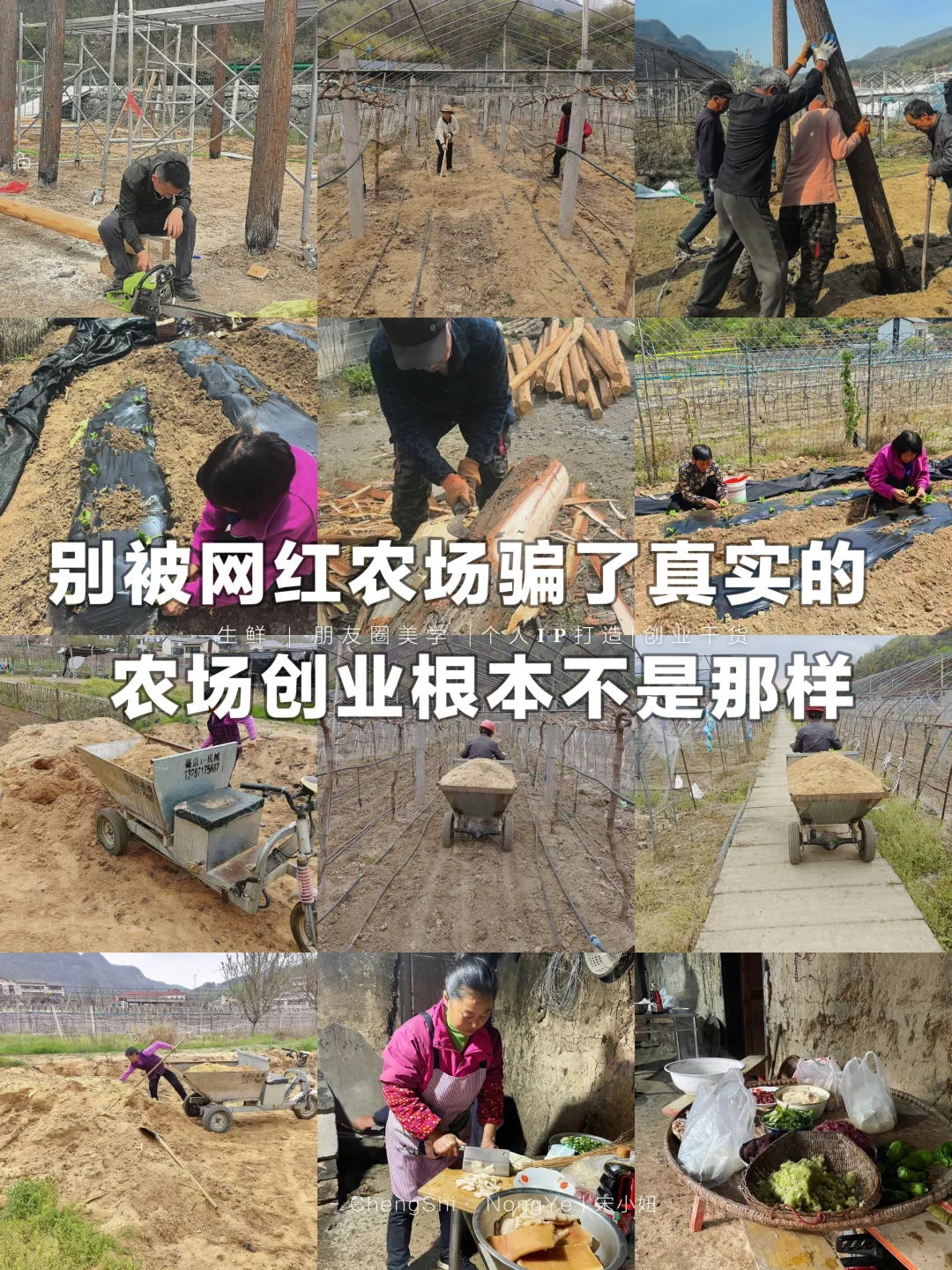 别被网红农场骗了真实的农场创业是这样的