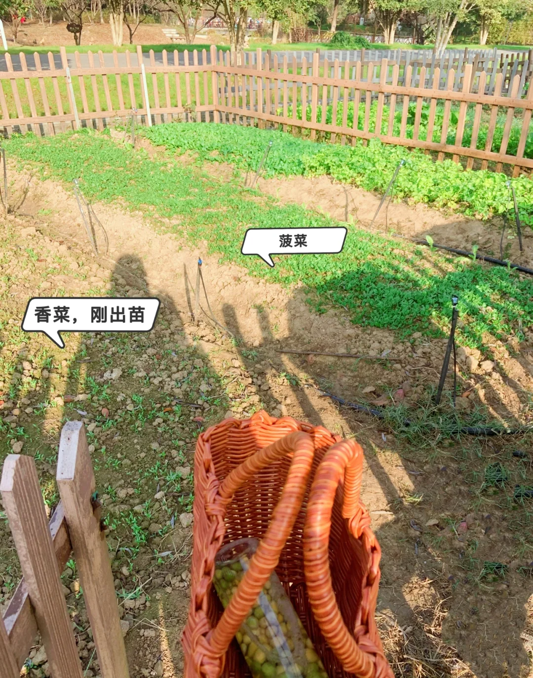 【2】农村电商，租地经营模式