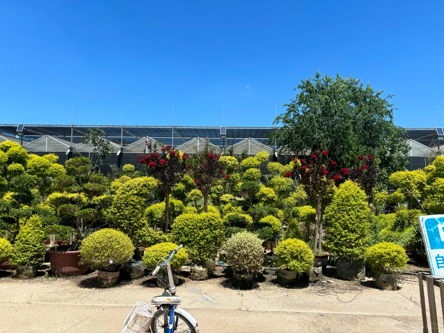 考察|藏在顺义的宝藏植物基地?