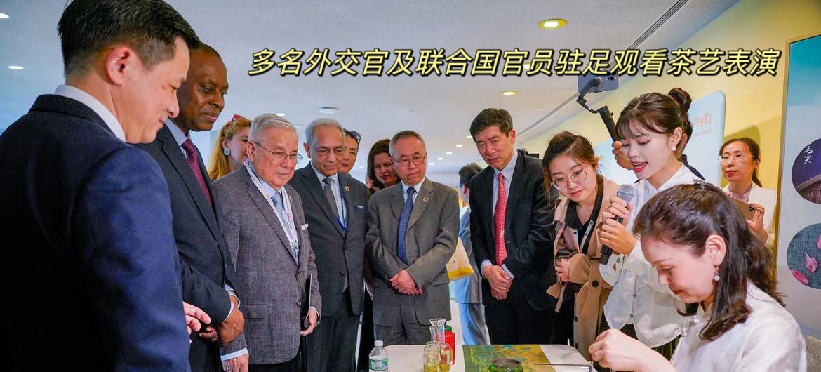 过完了国际茶日，还有悉尼茶博会