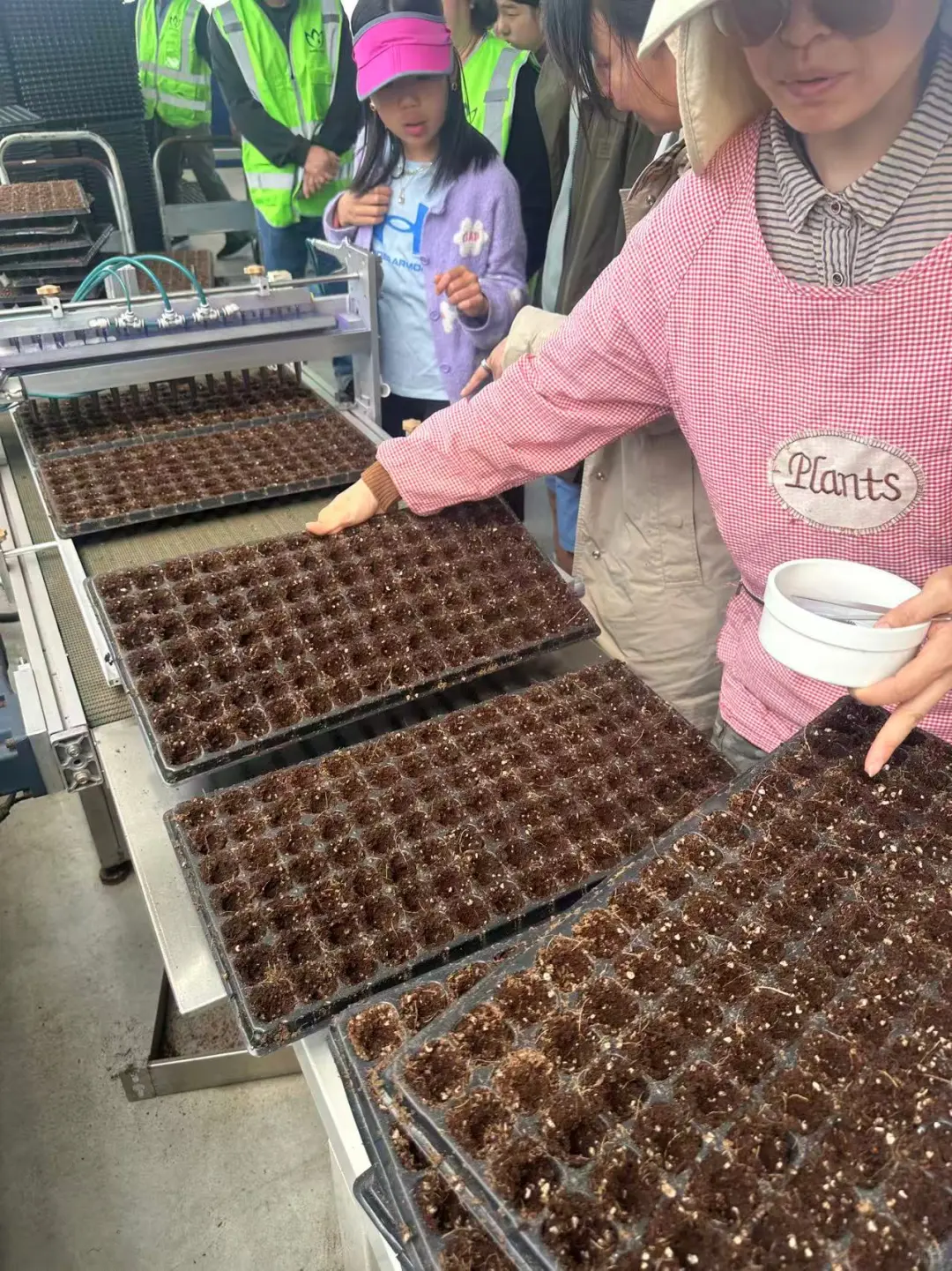 奥克兰周末正确打开方式｜体验蔬菜种植采摘