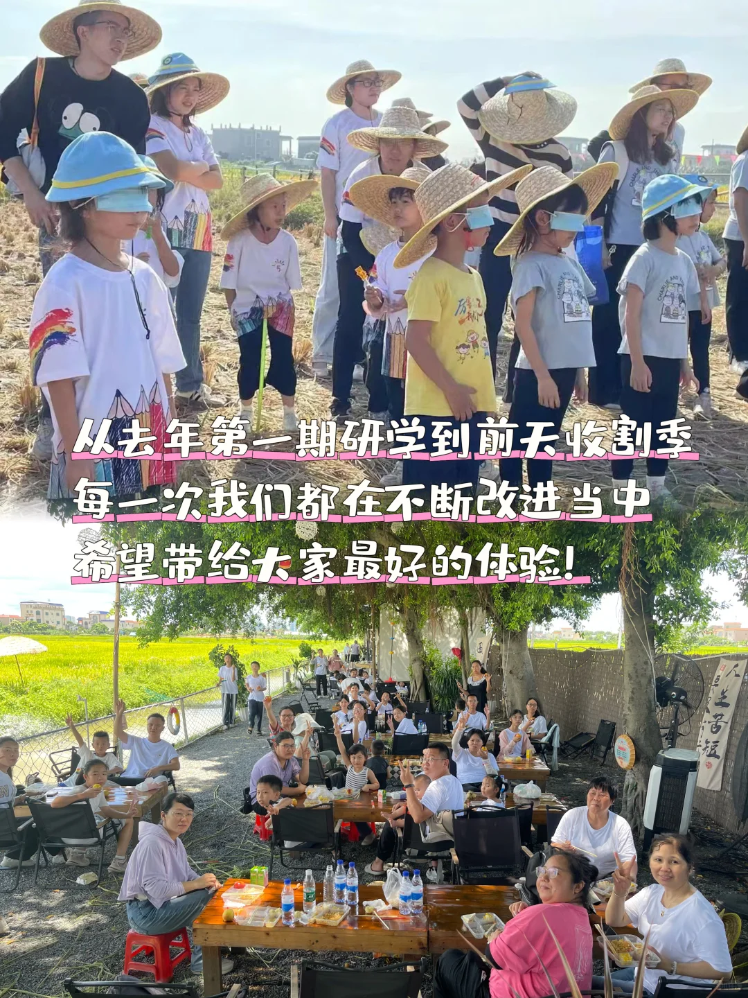 乡村振兴 | 大学生回乡创业做农业文旅