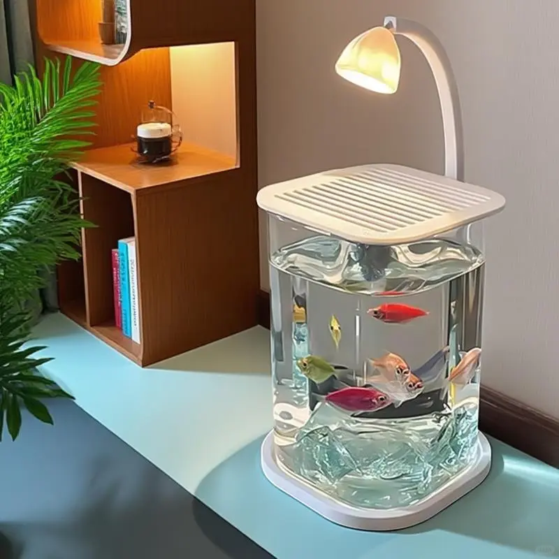 ?玻璃缸+小夜灯，氛围感拉满